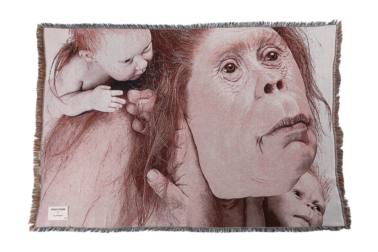 ALPHA60 X PATRICIA PICCININI  / KINDRED