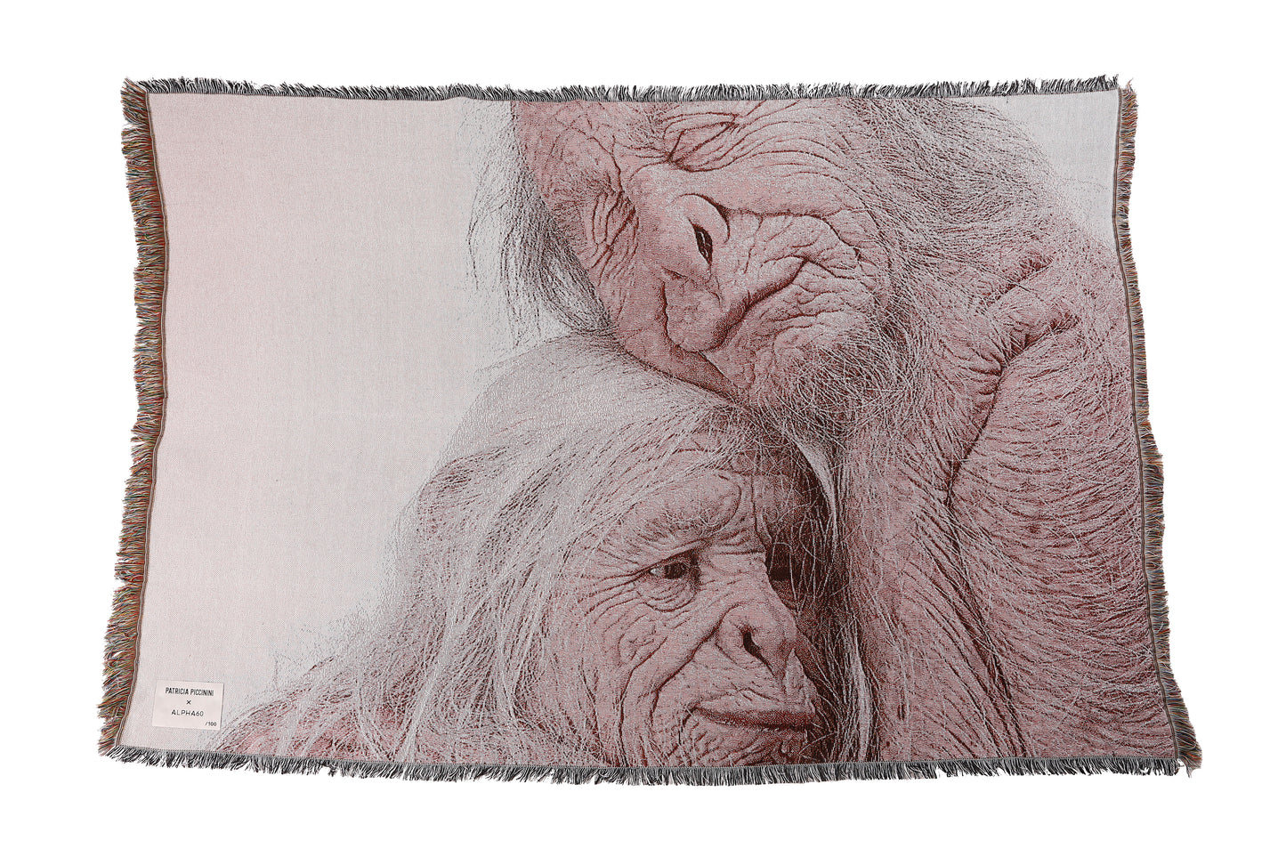 ALPHA60 X PATRICIA PICCININI  / SANCTUARY